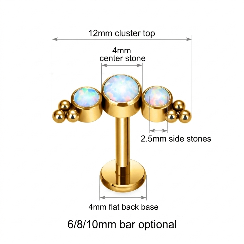 G23 Titanium Labret Cluster Ge - Mess Kit Titanium ulasan dan harga