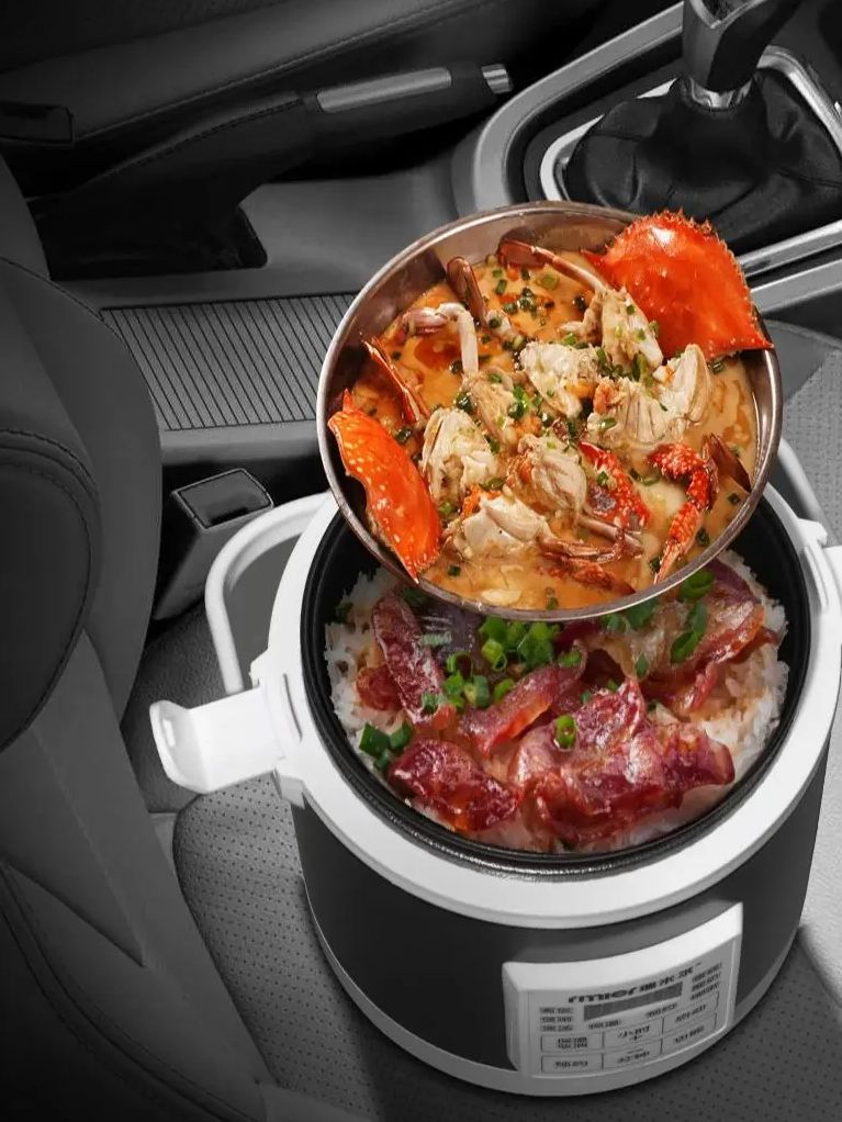 ARIER 12-24V 220V Rice Cooker  - Camping Cooking Basket ulasan dan harga