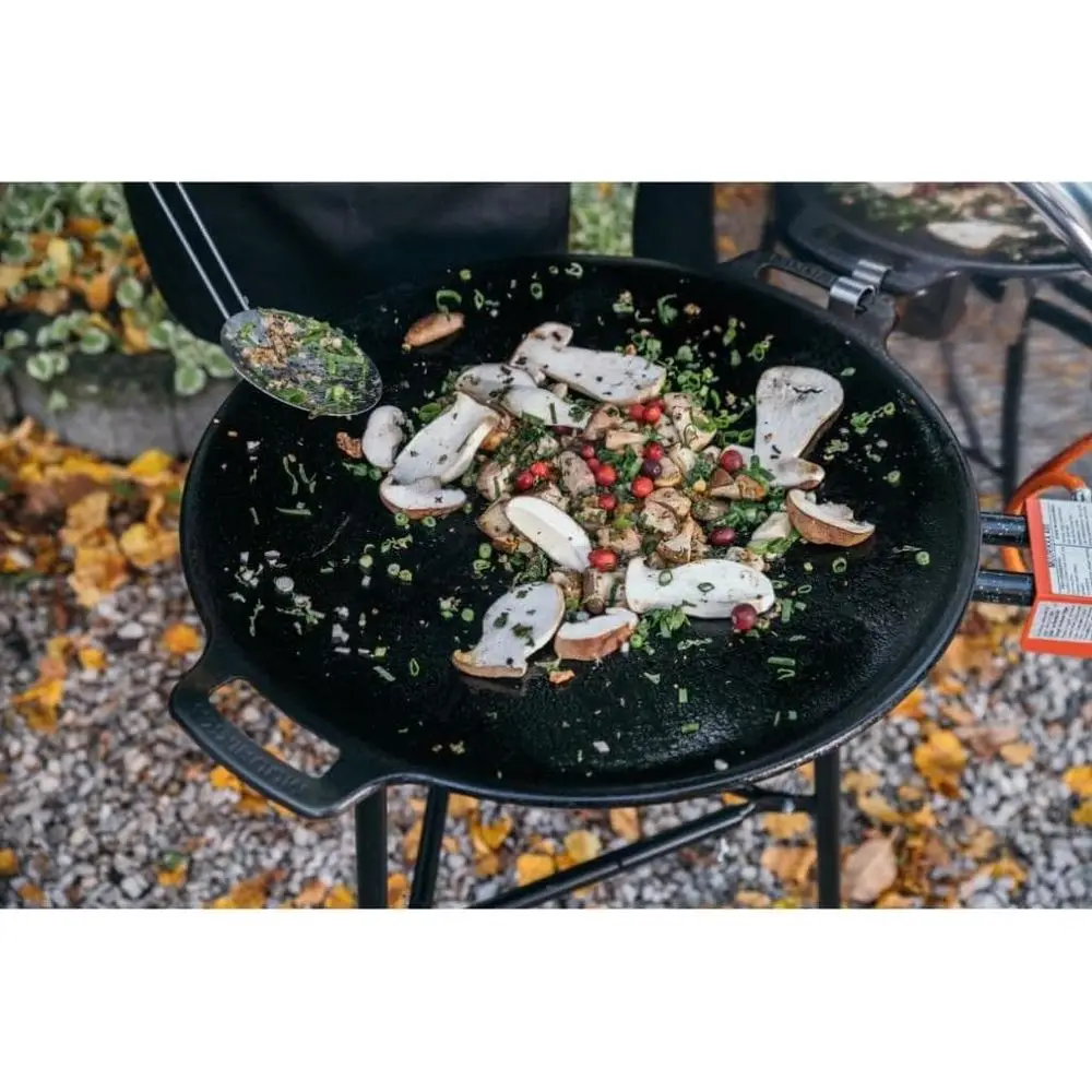 48cm Outdoor Gas Grill with Le - Camping Cooking Open Fire ulasan dan harga